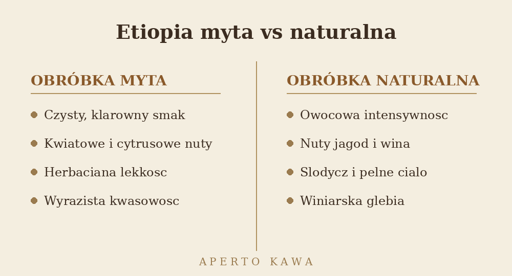 Etiopska kawa myta kontra naturalna – porównanie profilu smaku